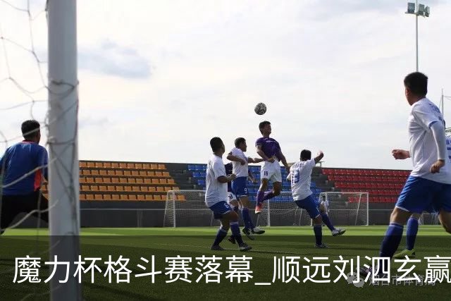 魔力杯格斗赛落幕 顺远刘泗玄赢下100公斤级